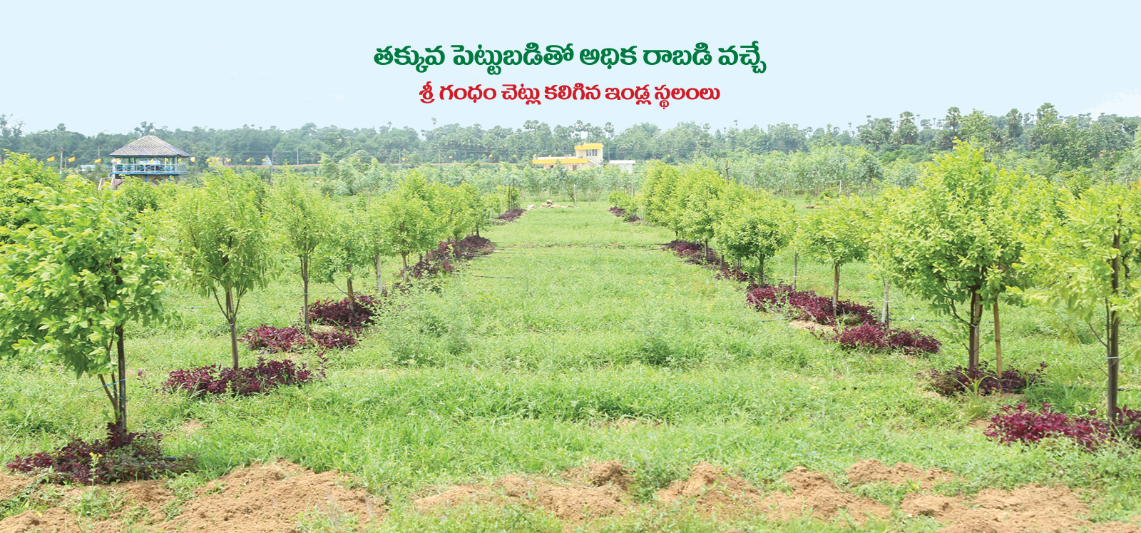 Premium Residential Plots in Visakhapatnam - Mahendra Hiighway Projects