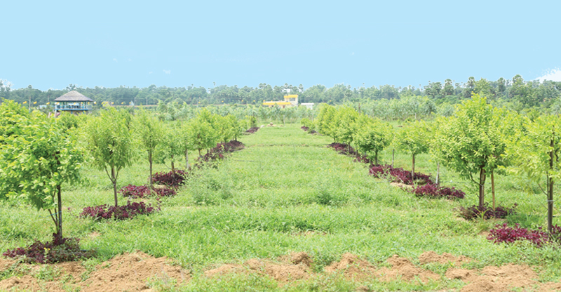 Premium Resifdential Plots in Vizag & Vizianagaram - Rock Developers